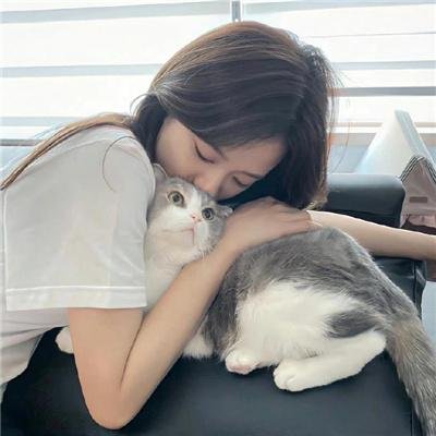 囧妈的极地任务